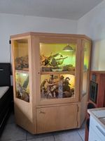 Terrarium