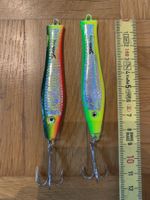Sänger 3D Holo Pilker 50g