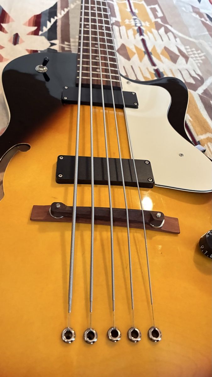Strumenti musicali: Pasadena Bass Semi-Hollow – Usato da Winterthur venduto da Linouk 2