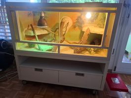 Terrarium 120b x 60t x 114h mit viel Zubehör