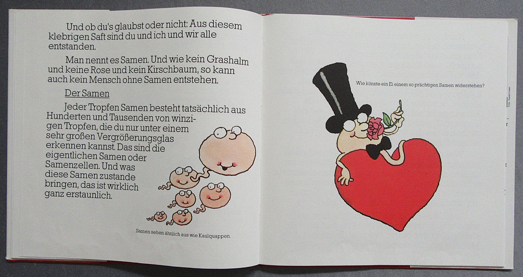 Bücher: von  Dr. Thaddäus Troll - Wo komm' ich eigentlich her ? – Gebraucht aus Auenstein von Padabimbim 6