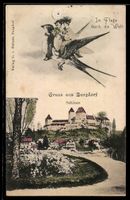 AK Burgdorf, Schloss, Pärchen fliegt auf einer Schwalbe, Im 