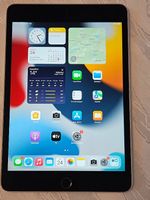 Apple iPad mini 4 16GB Silber Voll funktionsfähig Guter Akku