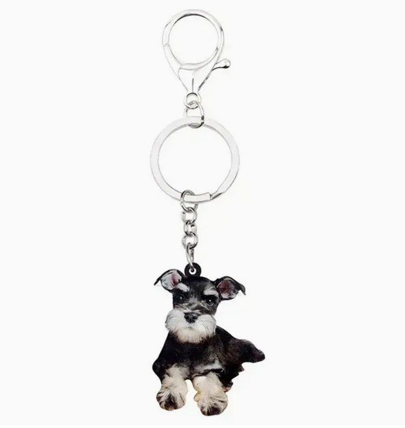 Portachiavi: SCHLÜSSELANHÄNGER SCHNAUZER NEU – Nuovo e nell'imballaggio originale da Bad Ragaz venduto da Schtupsi