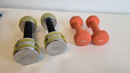 4 Hanteln (2x4kg, 2x2kg)