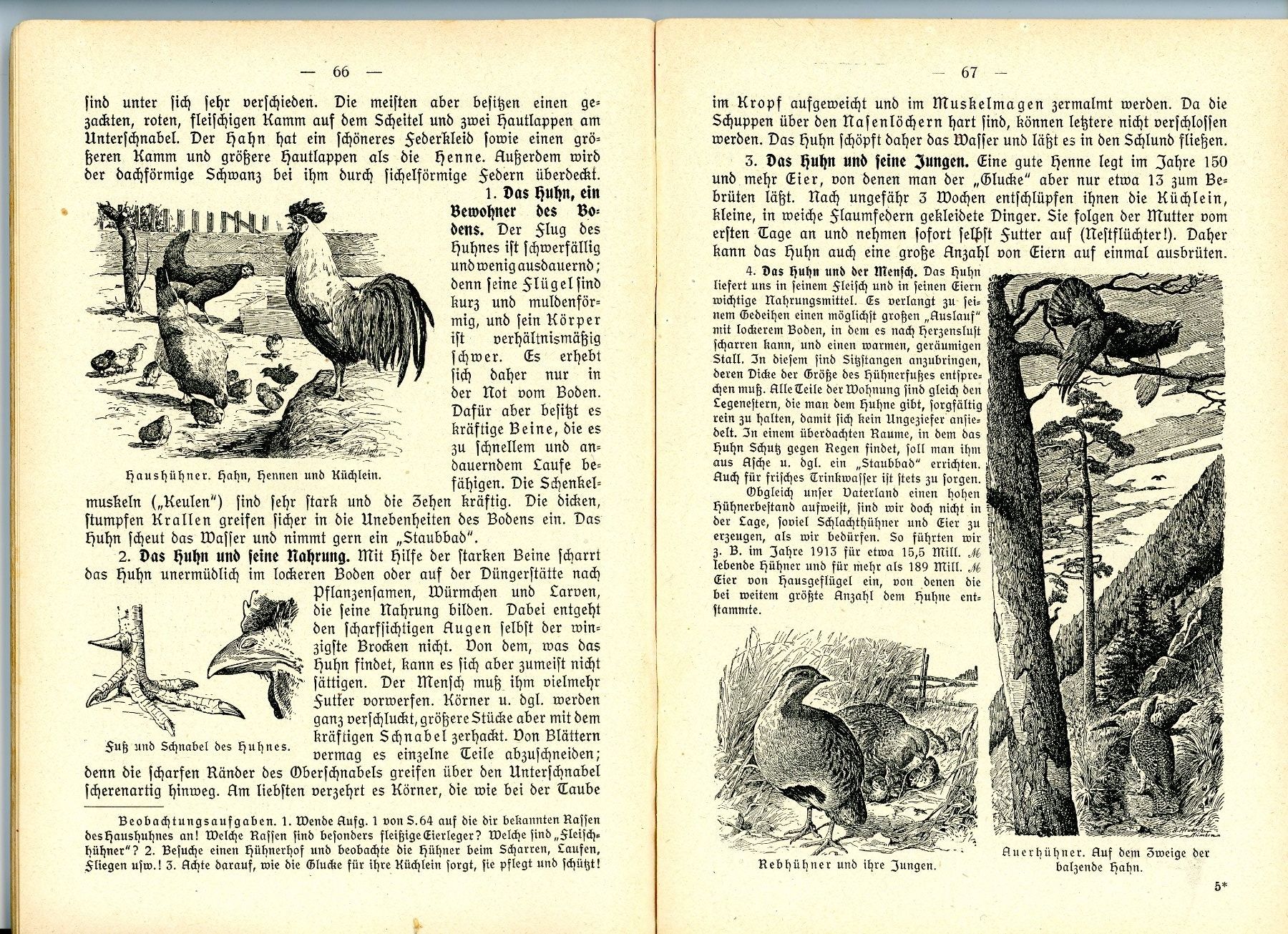 Libri: Grundriss der Tierkunde 1923 – Usato da Einsiedeln venduto da otm_7s5v 1
