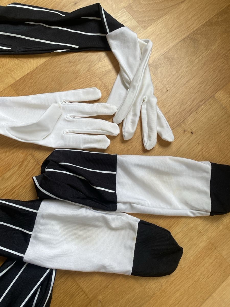 Kostüme: Ganzkörperanzug / Kostüm / Morphsuits Grösse L – Gebraucht aus Burgdorf von allesolivia 2