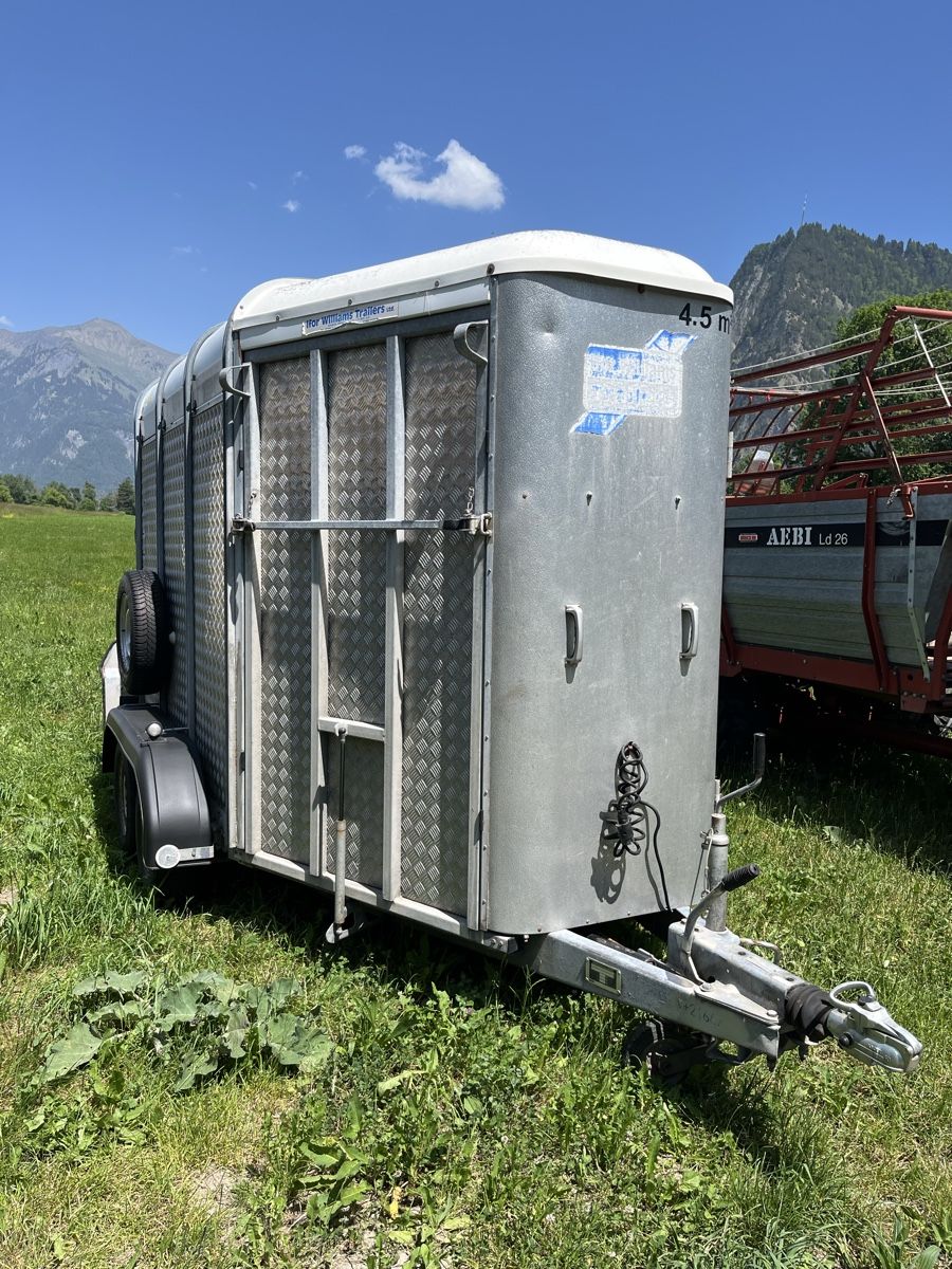 Ifor Rimorchi: Viehanhänger – Usato da Schluein venduto da Pitsch79
