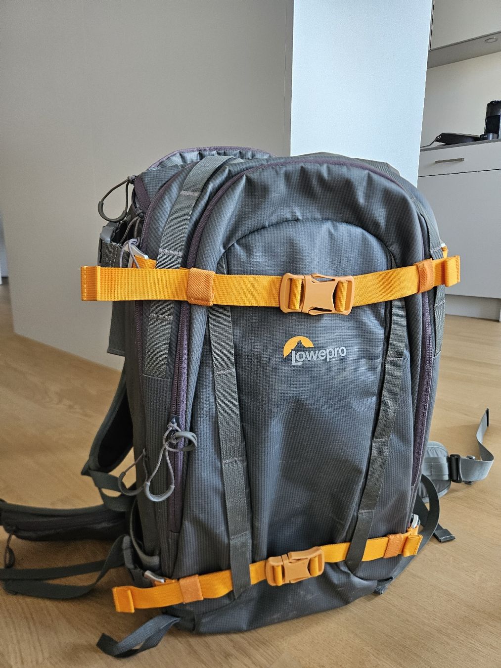 Lowepro Zaini: Lowepro Whistler BP 450 AW gebraucht – Usato da Jona venduto da and_2w5t