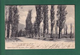 Partie von der ZABERNER STEIGE - 1906