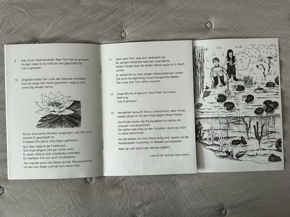 Libri: Lesespurhefte, Lesen mit Rätseln, 7 Stück – Usato da Wolhusen venduto da eve_m6cg 1