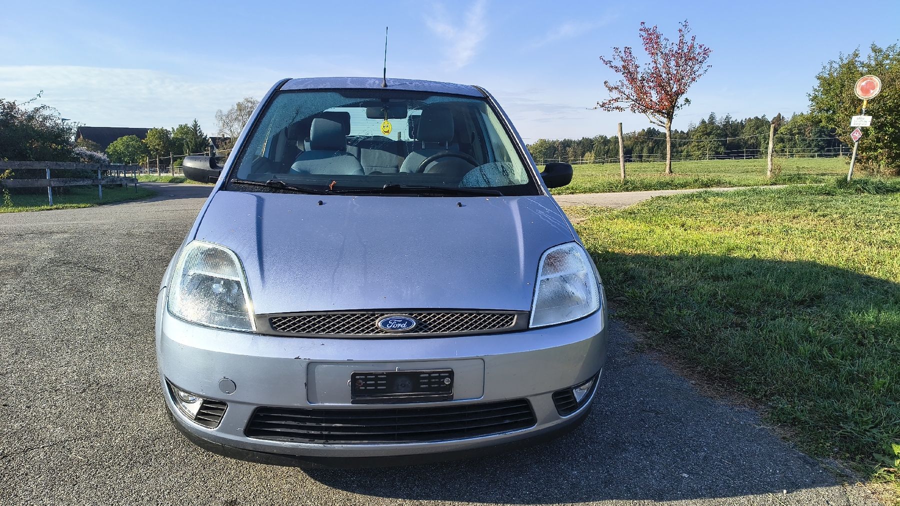 Ford Automobili: Ford Fiesta 1.3 – Usato da Kreuzlingen venduto da ele_wgq6 5