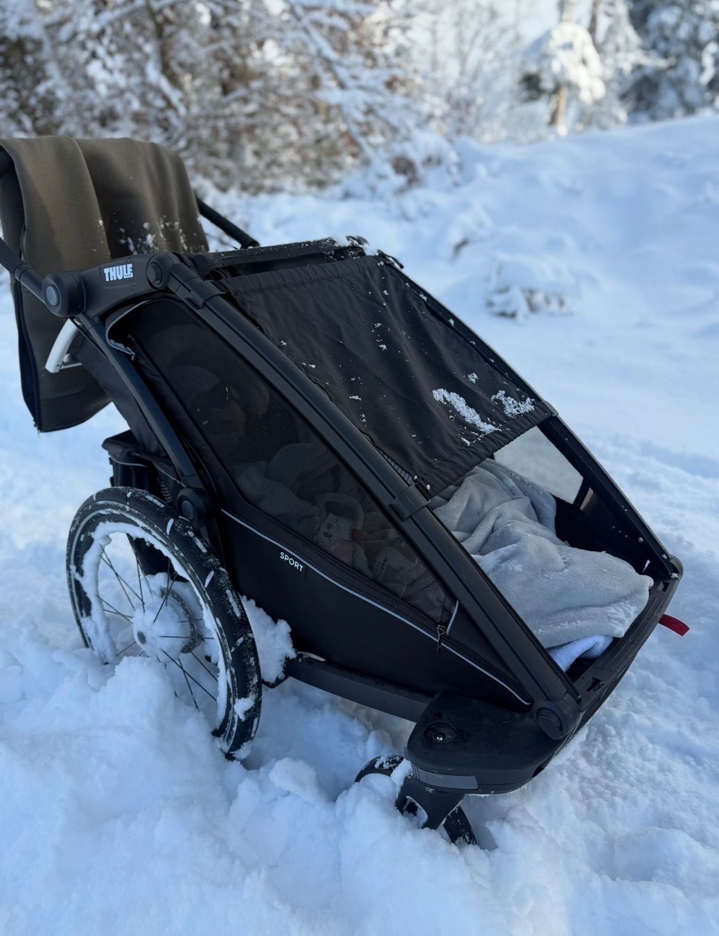 Thule Remorques: Thule Sport 1 single – Neuf (Voir description) à Islisberg par 1Contessa 1