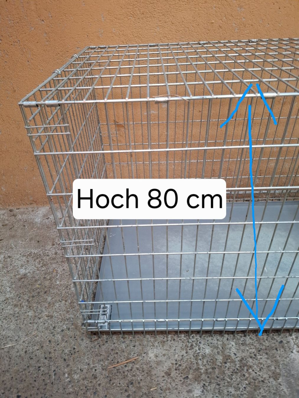 Cages, transport & sécurité: Hundeboxe – D'occasion à Birmenstorf AG par kildareeins 3