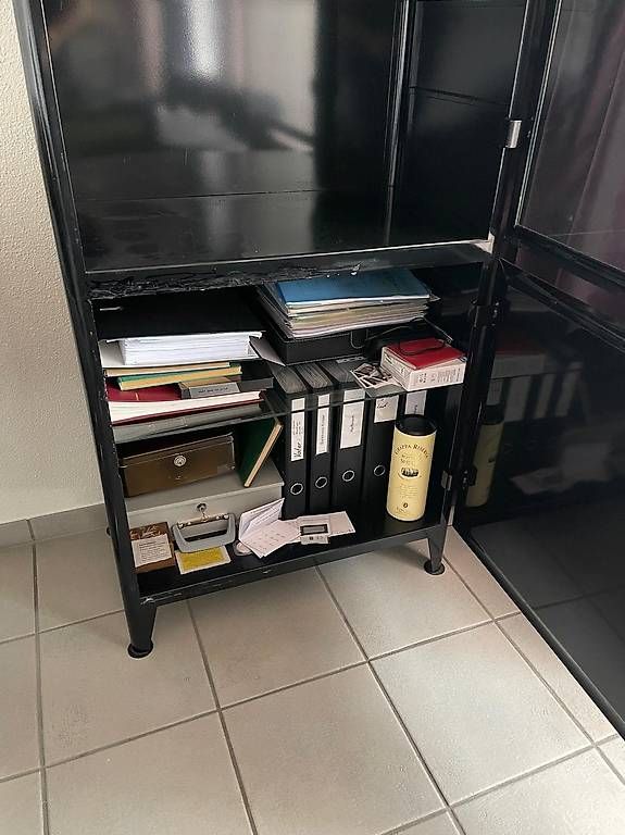 Vetrine: Metallschrank / Metallvitrine – Usato da Triesen venduto da Chevalley 2