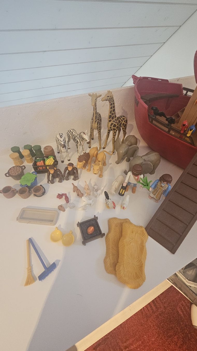 Playmobil Giocattoli: Playmobil Arche Noah 3255-C – Usato da Rudolfstetten venduto da Hoppel17 2