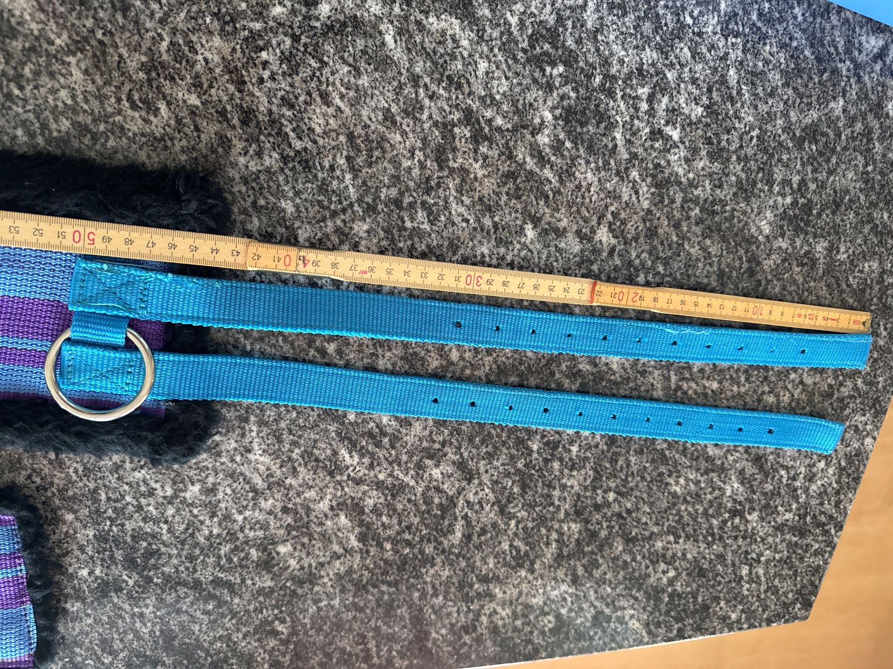 Gürtel: Longiergurt Pony, violet/blau – Gebraucht aus Elsau von CTN20 5
