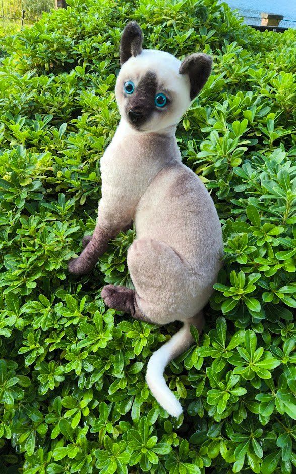 Giocattoli: Siam  Katze – Nuovo (secondo la descrizione) da Castagnola venduto da Cat-WomenX