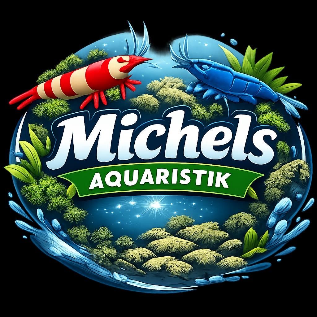 Piante & sementi: Aquarium Pflanzen Microsorum pteropus – Nuovo e nell'imballaggio originale da Dulliken venduto da miggu40 3