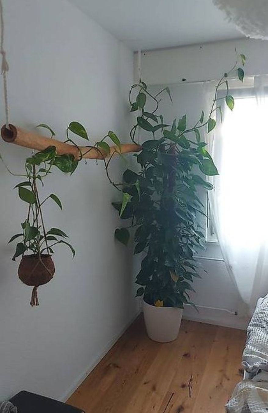 Porte manteau: höhenverstellbare kleiderstange selfmade – D'occasion à St. Gallen par AnnaRamon