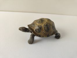 Schleich Schildkröte Riesenschildkröte Wildlife Zoo Safari