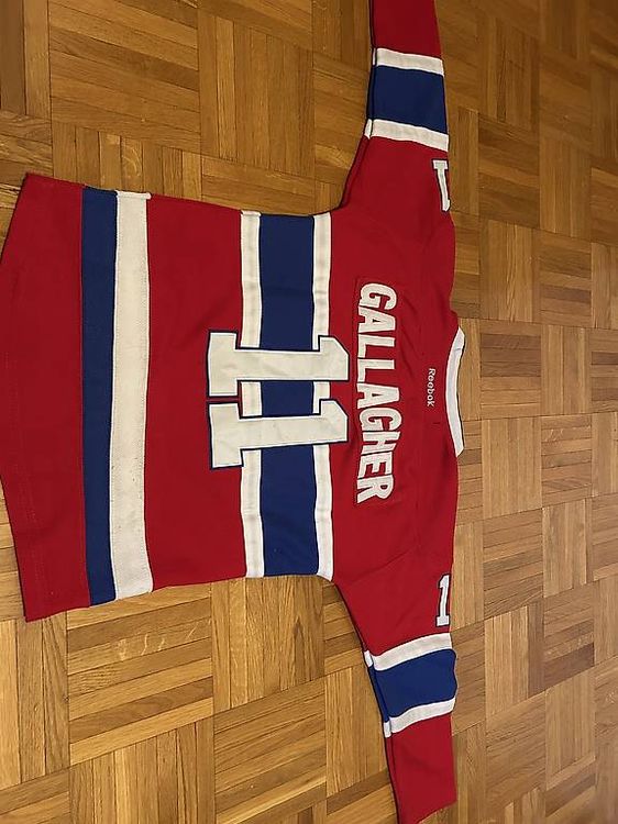 Support d'entraînement résistance magnétique Schwinn de luxe | Canadian
