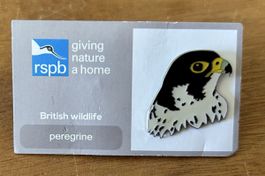 RSPB Pin Wanderfalke