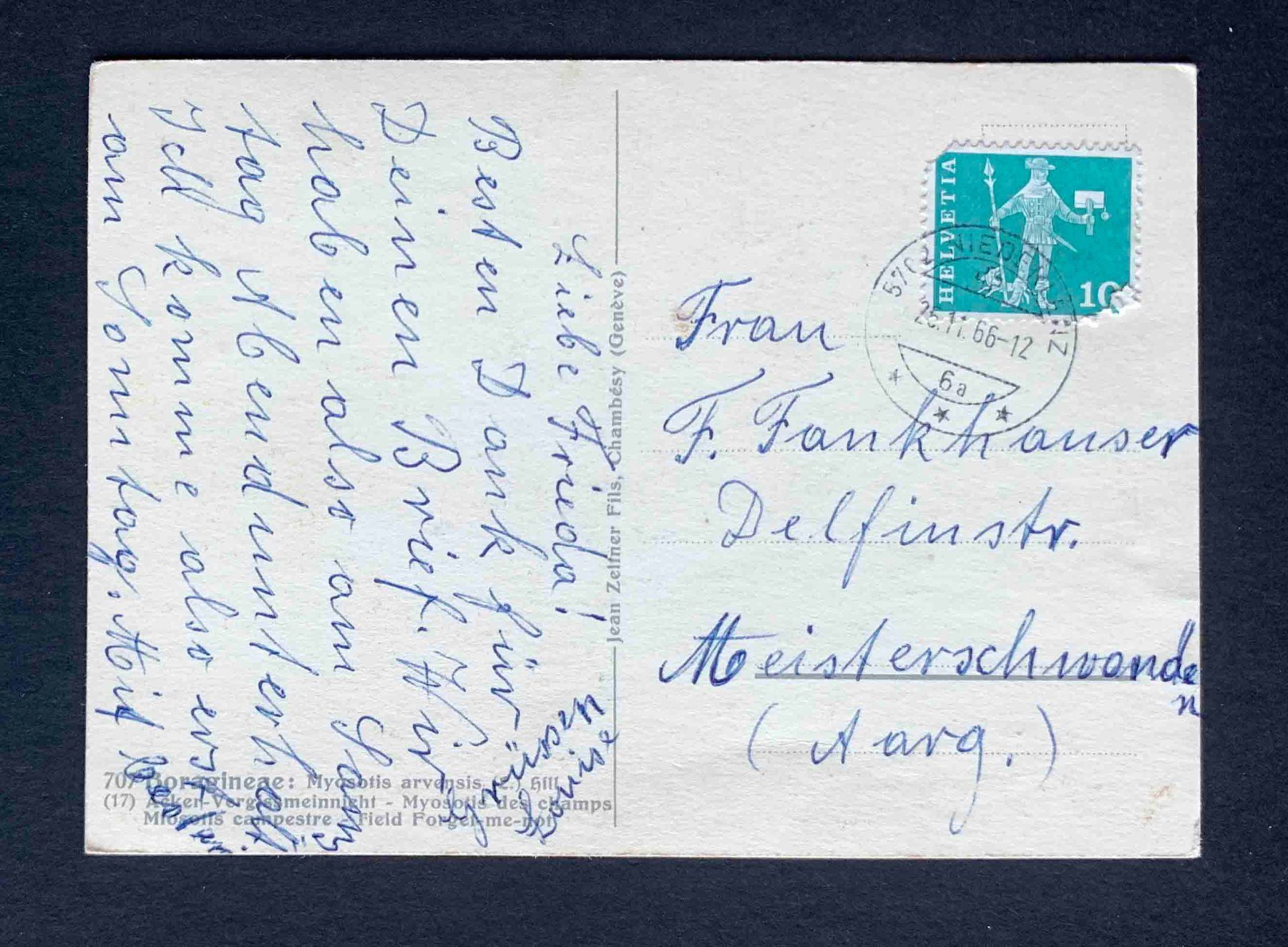 Cartoline postali: AK Boragieae Acker Vergissmeinnicht 1966 – Usato da Goldau venduto da Balkonia09 1