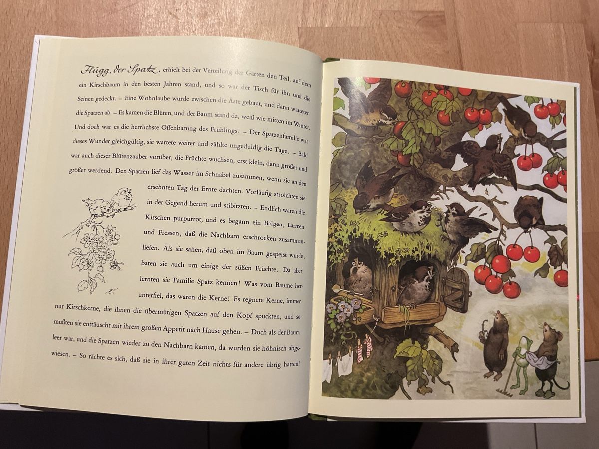 Libri: Gartengemeinschaft Malepünke, 4+ – Nuovo (secondo la descrizione) da Wil ZH venduto da RiccardaWegmann 9