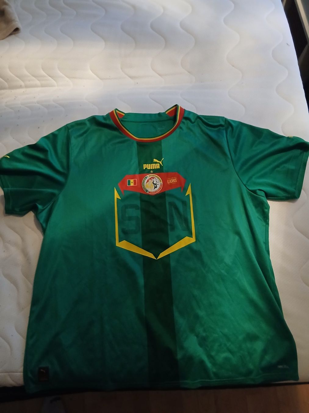 Puma Canottiere & Pantaloni: Senegal Trikot – Usato da Oberglatt ZH venduto da Sandro0124