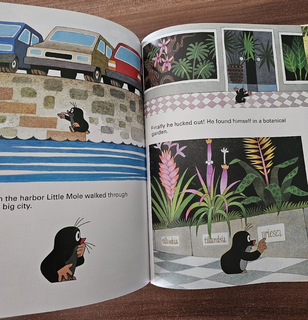 Libri: Kinderbuch "How Little Mole Cured Little Mouse" – Nuovo (secondo la descrizione) da Bütschwil venduto da Taranabo 2
