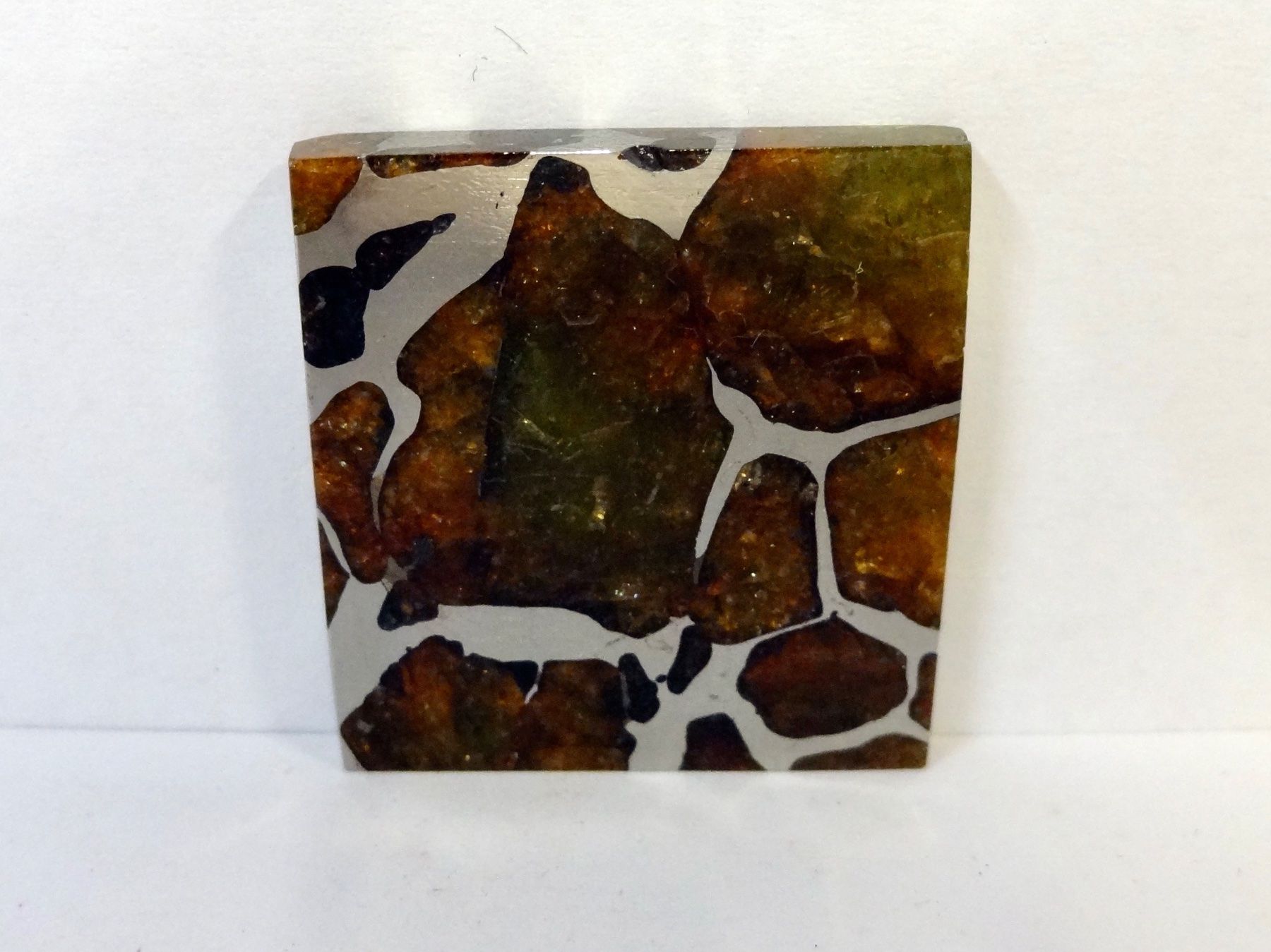 Minéraux & Lithothérapie: Meteorit PALLASIT Eisen-Stein-Meteorit IMILAC CHILE – Neuf (Voir description) à Kerzers par djstarsky73 5