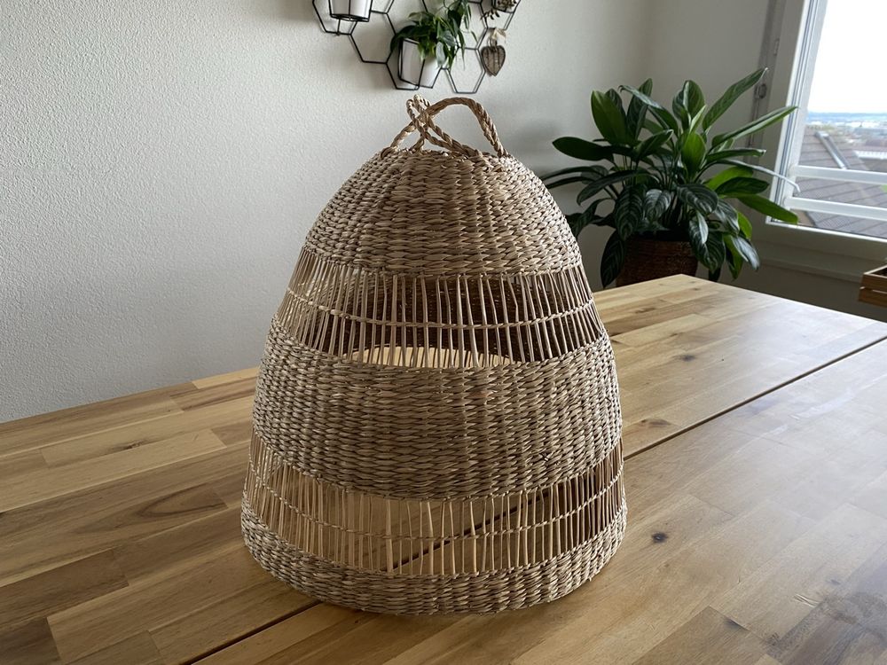 TORARED Hängeleuchtenschirm (neu) - 36cm (Neu (gemäss Beschreibung)) in ...