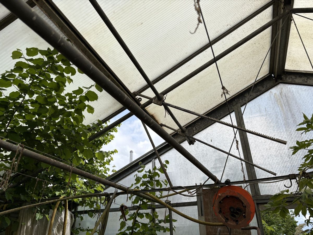 Casette da giardino & serre: Glashaus Treibhaus Gewächshaus – Usato da Oberkirch LU venduto da Legraps111 4