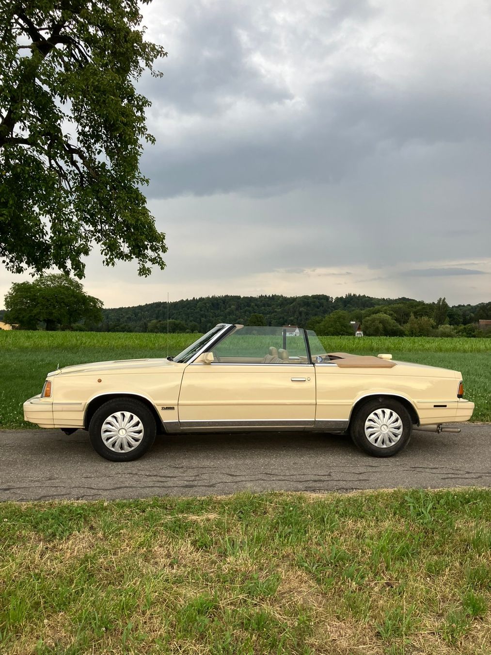 Chrysler Automobili: Chrysler le Baron Cabriolet – Usato da Kloten venduto da ign_7ss7 5