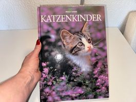 BUCH: Katzenkinder