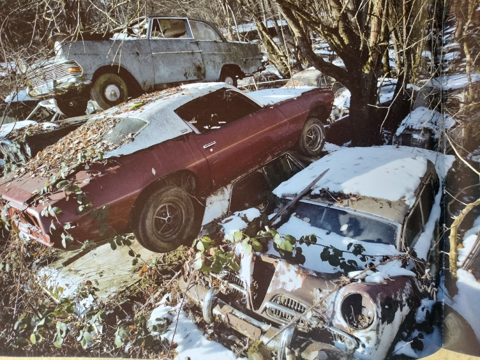 Livres: Buch, Dauerparker, Oldtimer Legenden – D'occasion à Schwanden Sigrisw par len_9yqg 7