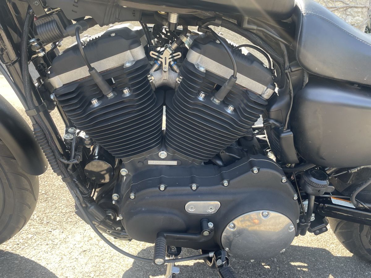 Harley-Davidson Chopper: Harley Davidson XL 883N – Gebraucht aus Birrwil von Memme0 4