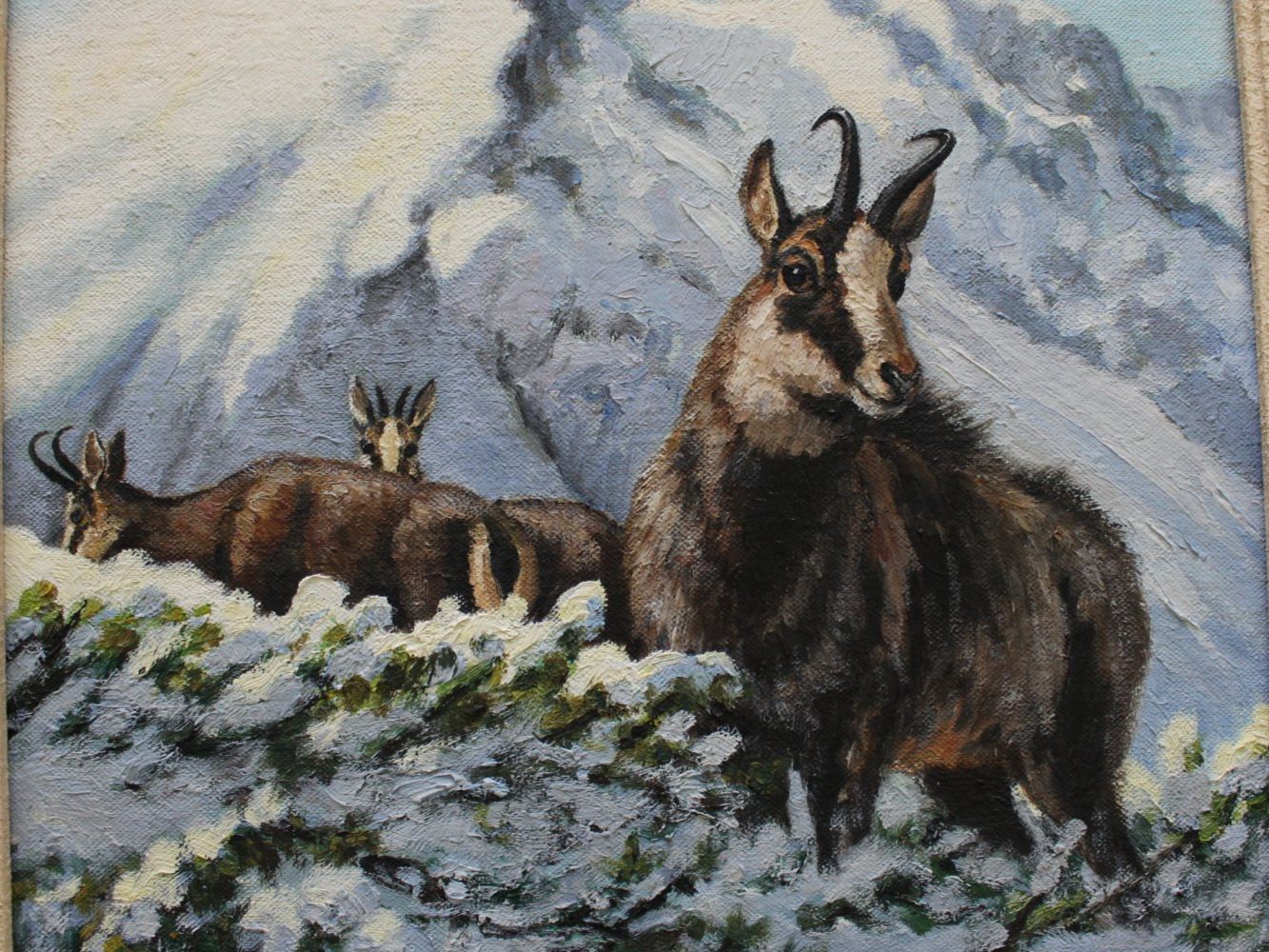 Dipinti: Chamois dans la neige – Usato da Fleurier venduto da Akvdt 1