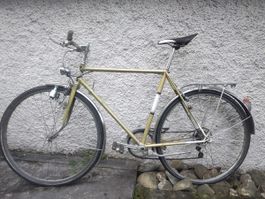 Retrovelo Mondia gebraucht