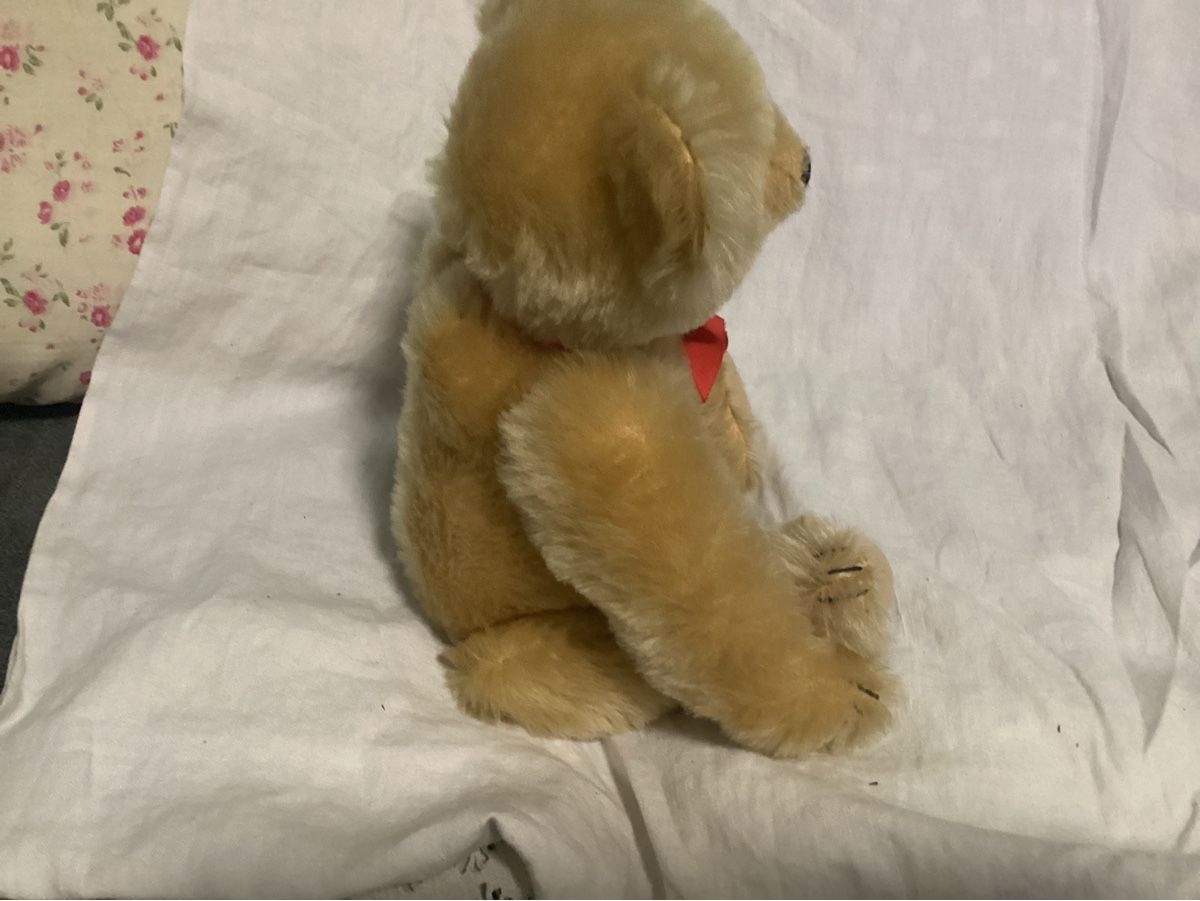 Steiff Giocattoli: STEIFF TEDDY MIT KNOPF UND FAHNE – Usato da Münchenstein venduto da NoSu98 3