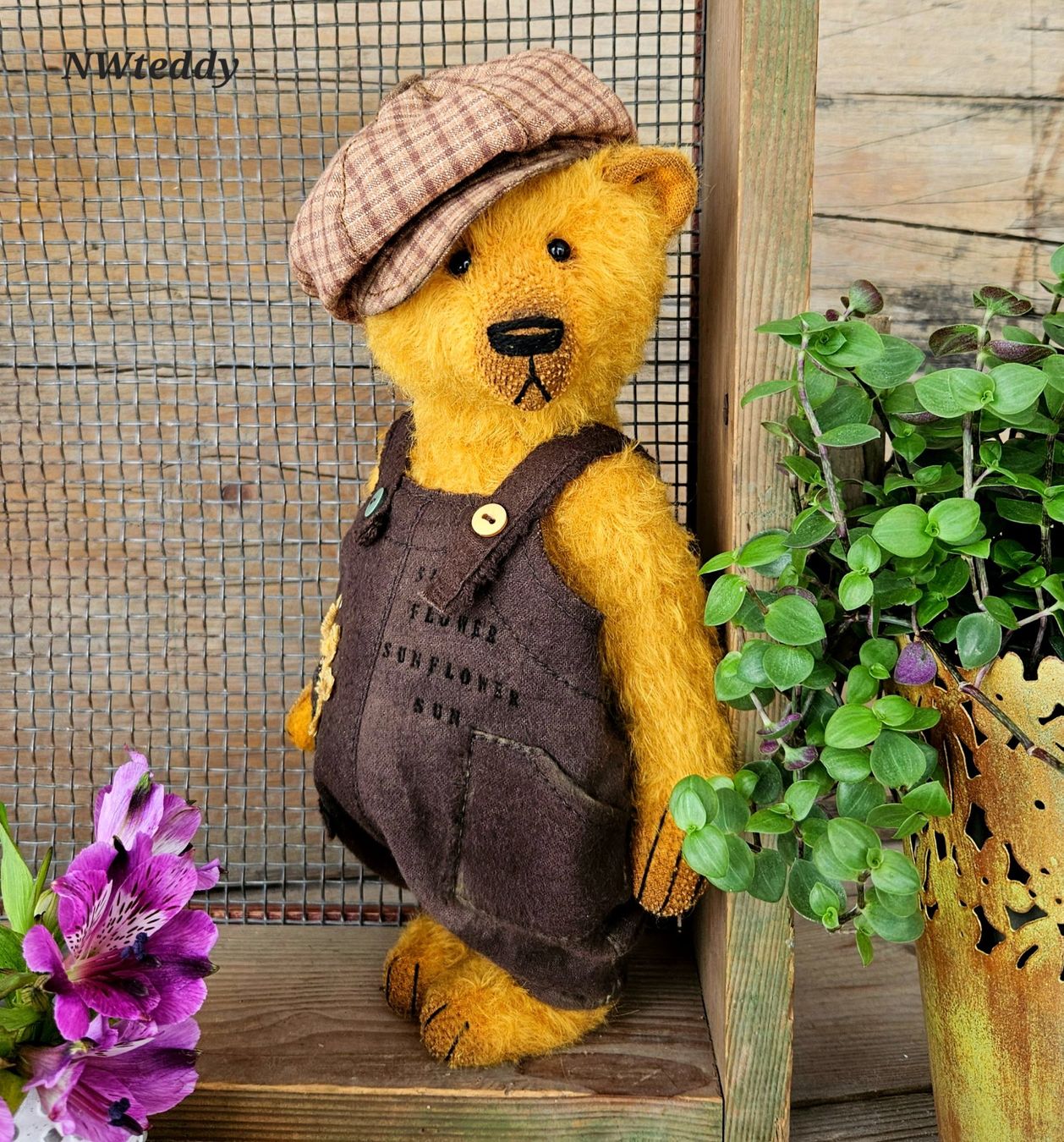Spielzeuge: Teddybär, Sammler teddy – Neu (gemäss Beschreibung) aus Chur von nataliiaw