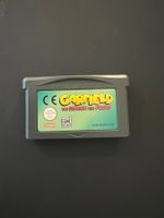 Garfield The Search for Pooky GBA Nintendo Gameboy Advance