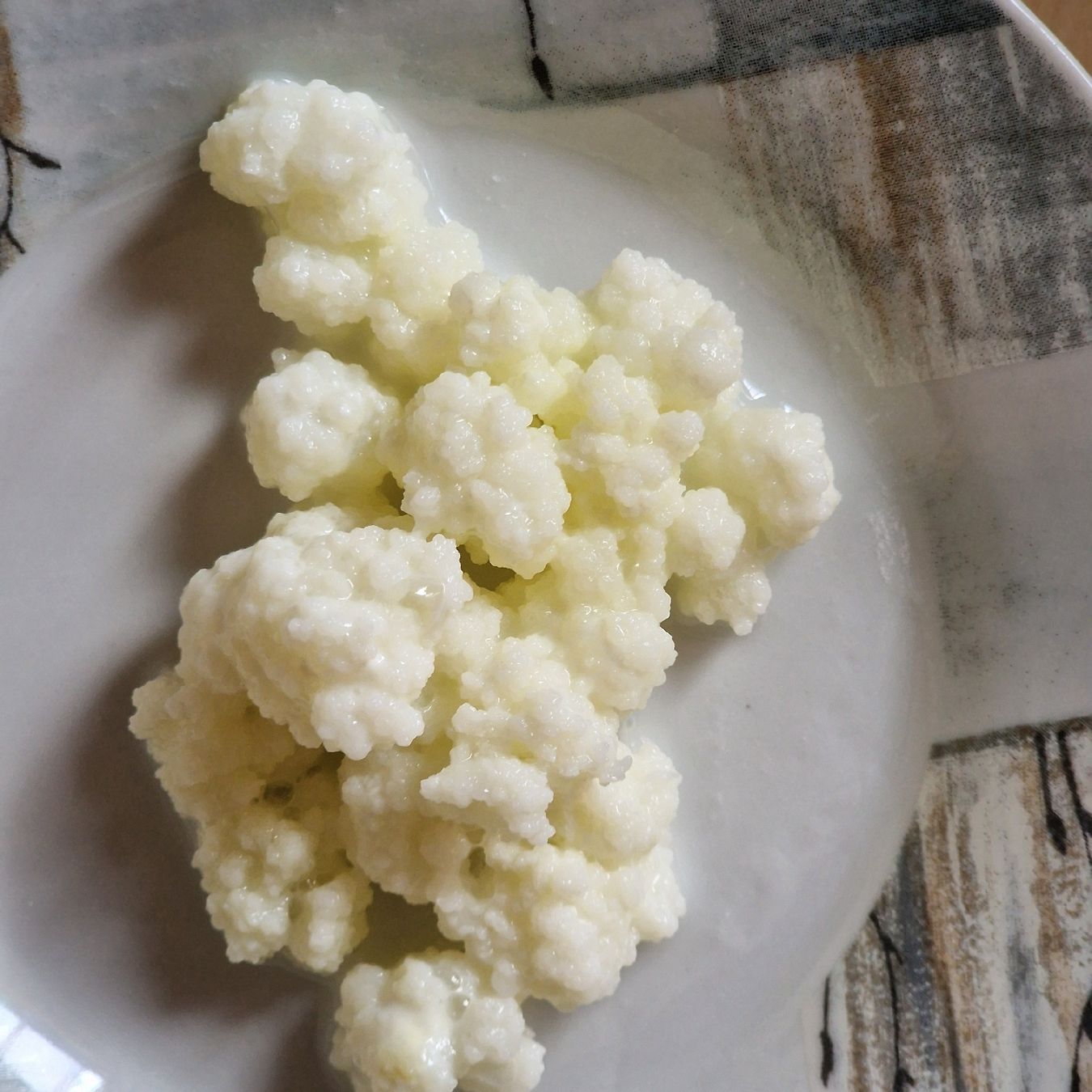 Aliments & Spécialités: Kefir (Kaukase) – D'occasion à Spreitenbach par Laloca8