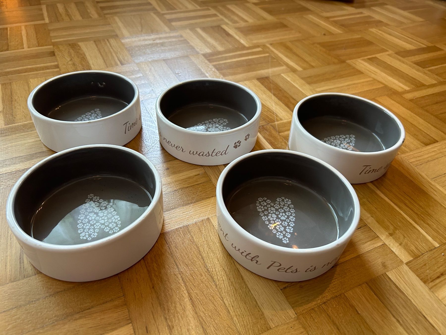 Ciotole: Katzen Napf – Usato da Bern venduto da Dafi7