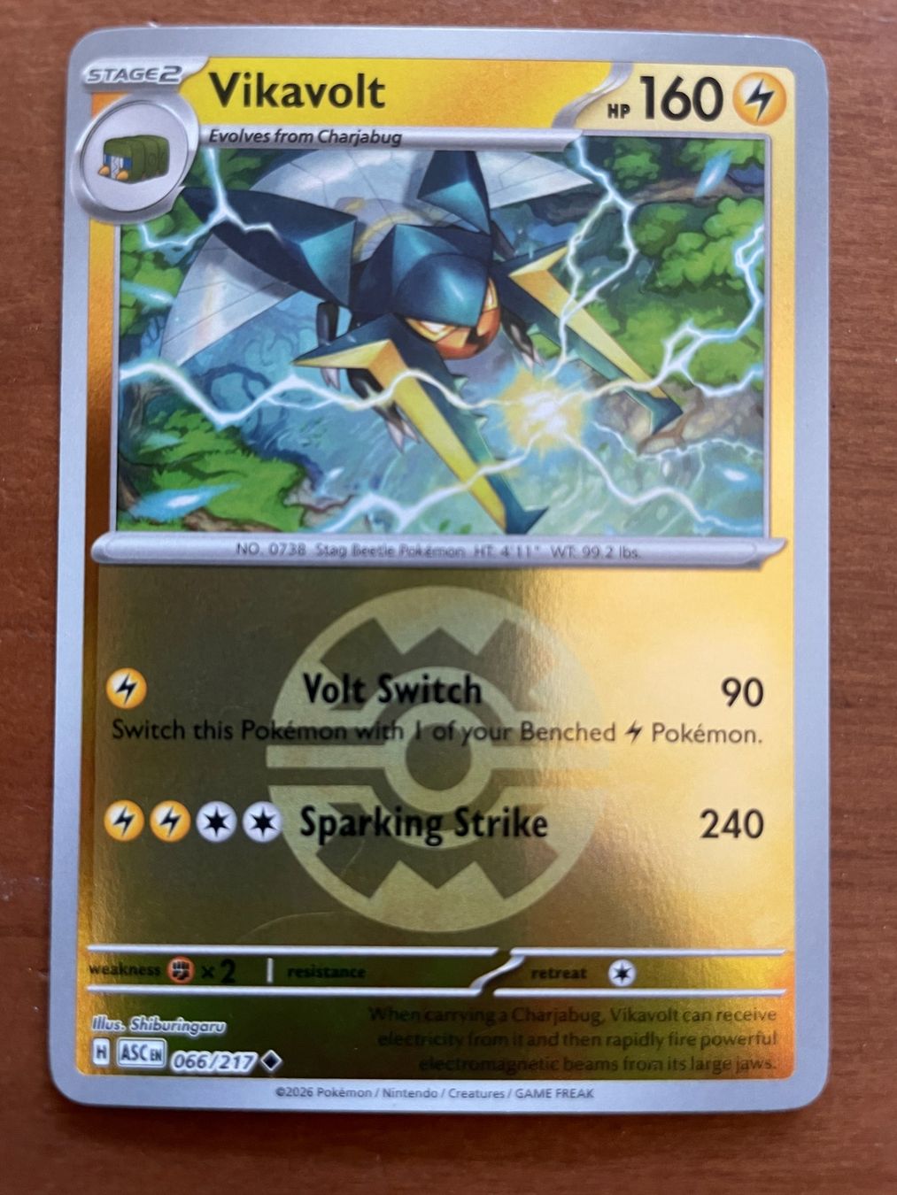 Pokémon Carte collezionabili: Pokemon Vikavolt Reverse (Versand gratis) – Nuovo (secondo la descrizione) da Chur venduto da Angerson