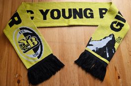 BSC Young Boys Bern Schal YB "Gipfelstürmer" Gems vintage