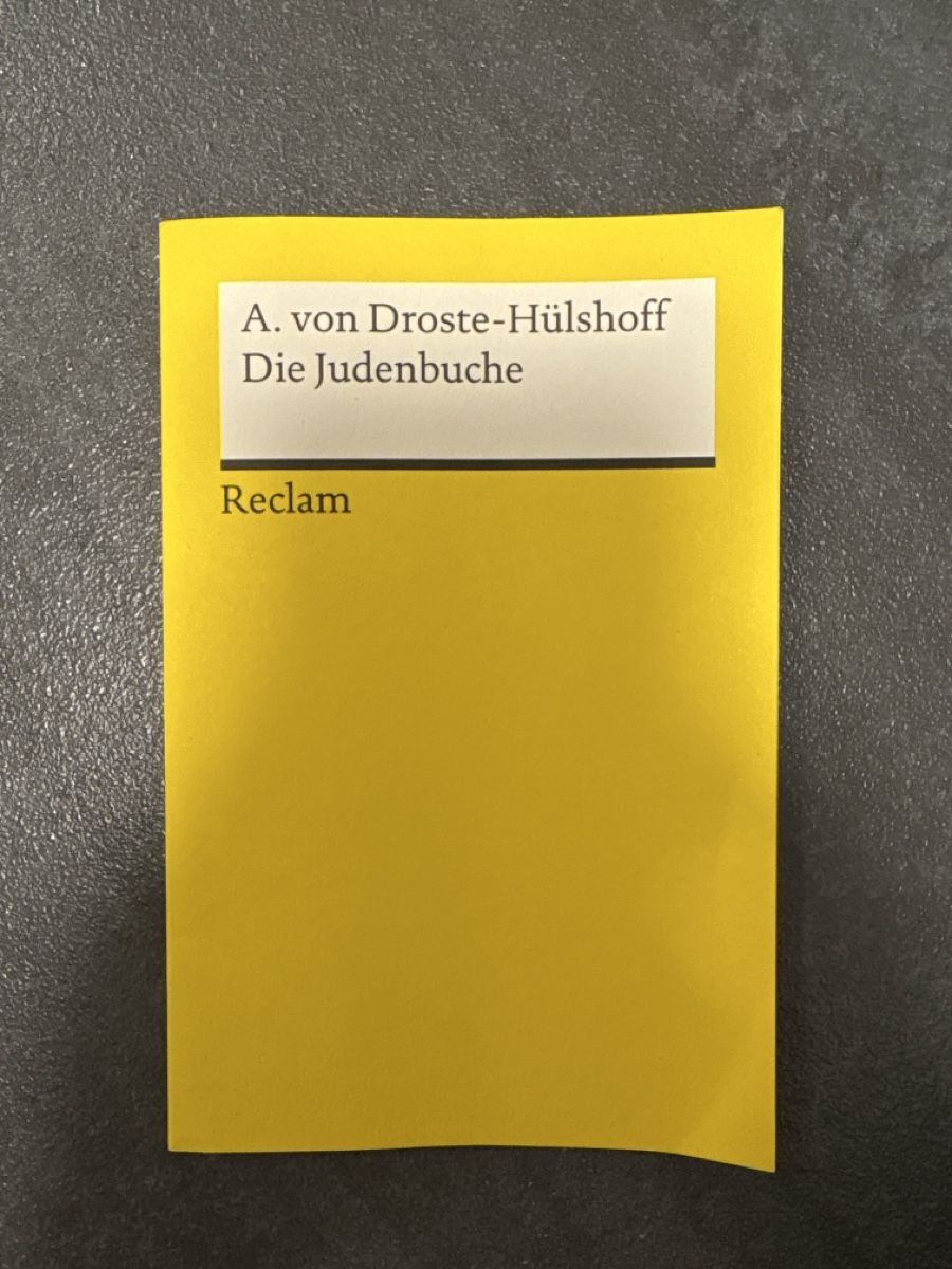 Libri: Die Judenbuche - A. Von Droste-Hülshoff – Usato da Rümlang venduto da svent