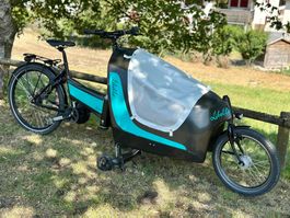 Libelle Carbon E-Lastenvelo - 2 Kinder - Carbon/Kevlar