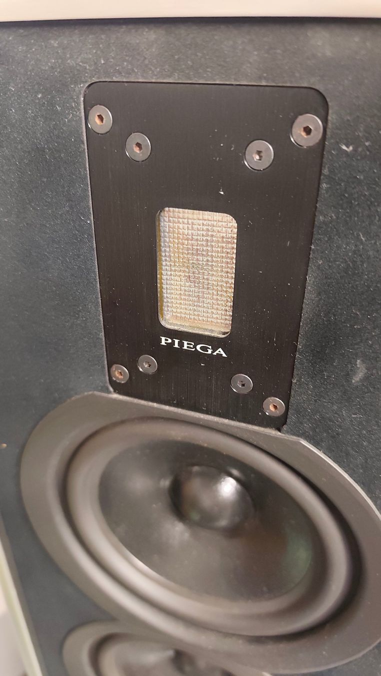Piega Haut-parleurs: Piega C8 – D'occasion à Bern par Buybest24 4